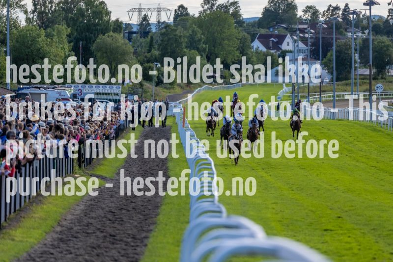 20220821-172614-DSC1317