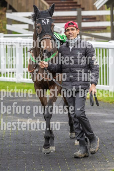 20251102-131220-DSC8772