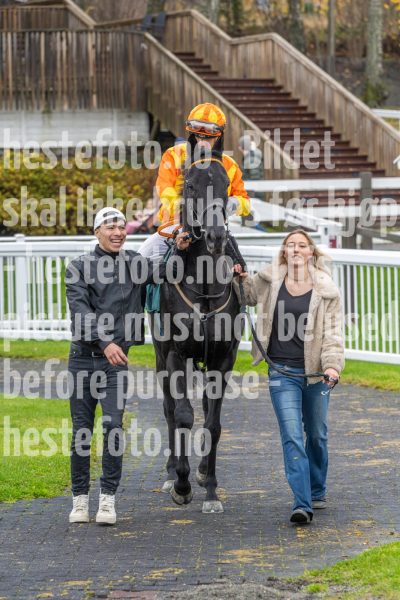 20251102-152542-DSC9935