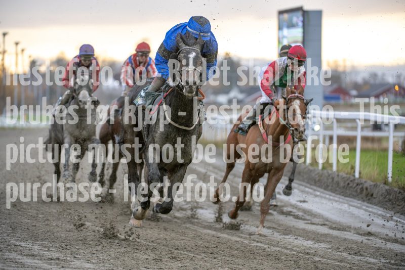 20251102-153101-DSC_1393