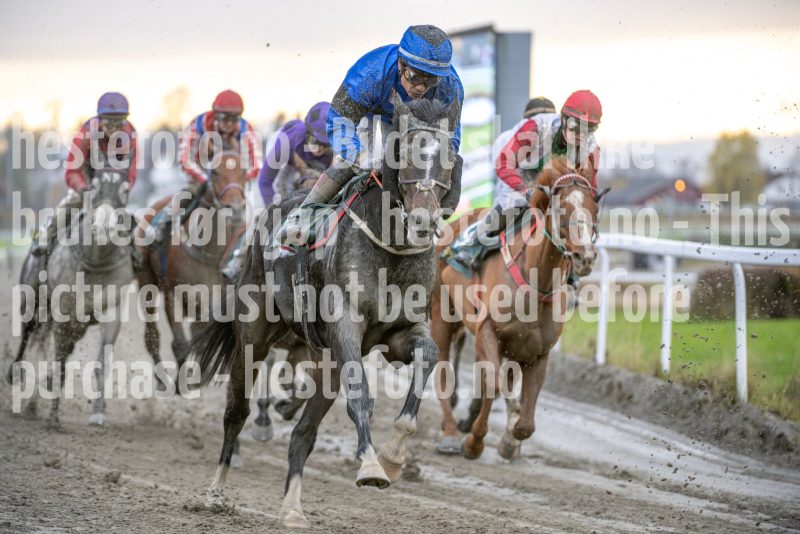 20251102-153101-DSC_1396