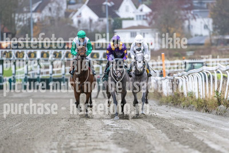 20251102-155438-DSC_1804