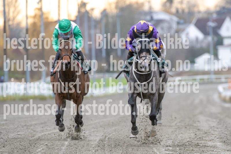 20251102-155609-DSC_1941