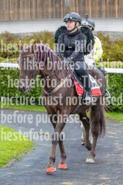 20251102-160115-DSC0239