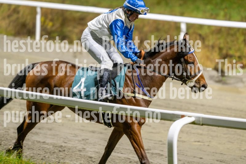 20251106-211649-DSC_6214