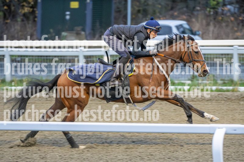 20251108-093800-DSC_6946