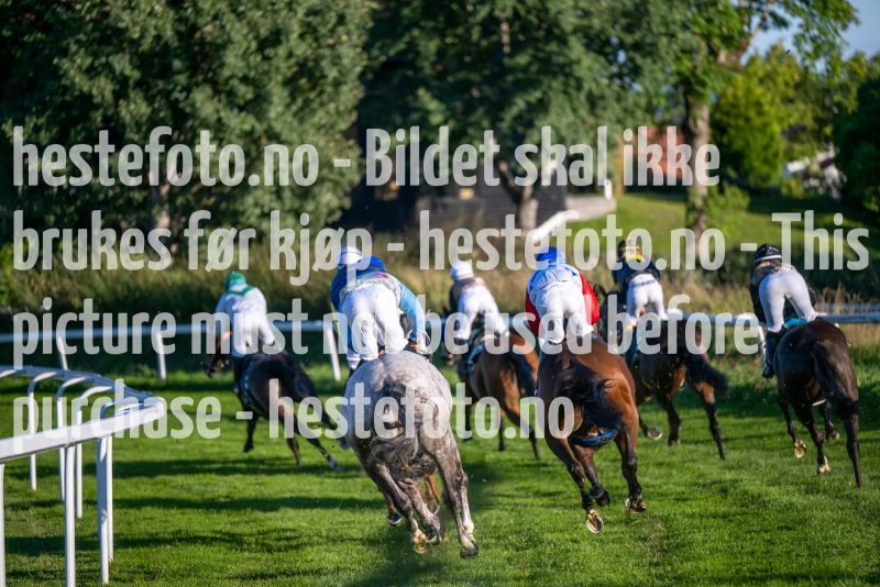 20220901-182738-DSC_2453