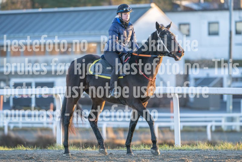 20251220-111823-DSC_2504