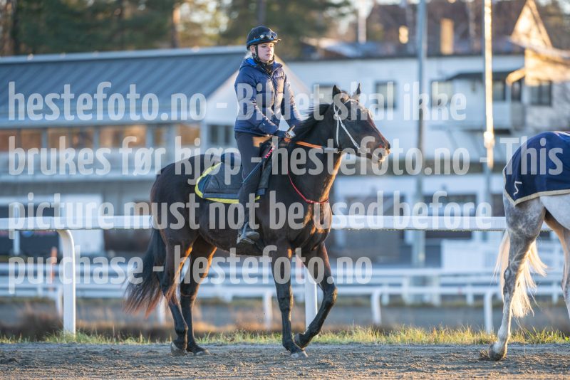 20251220-111823-DSC_2509