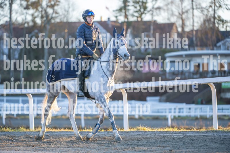 20251220-111942-DSC_2553