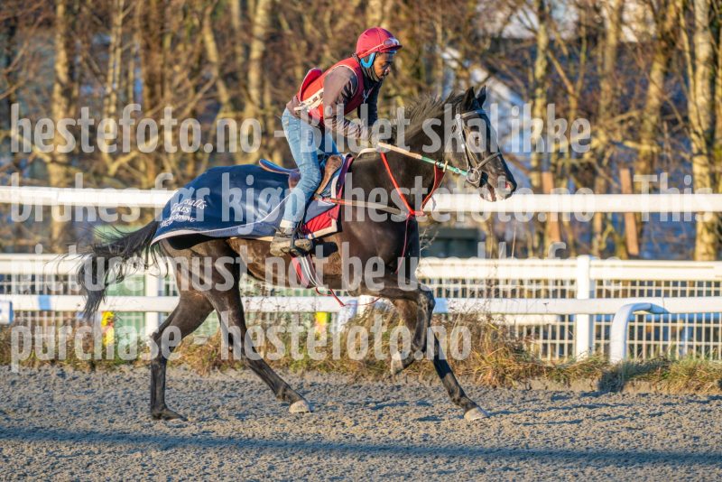 20251220-112144-DSC_2621