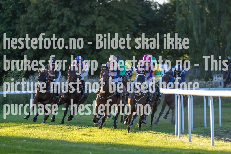 20220901-191409-DSC_2605