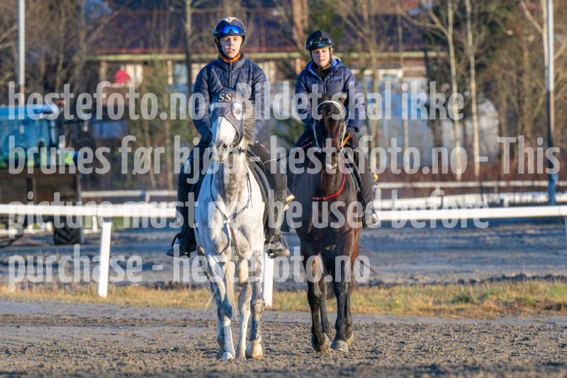 20251220-112816-DSC_2878