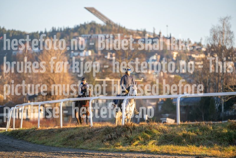 20251220-113353-DSC_3118