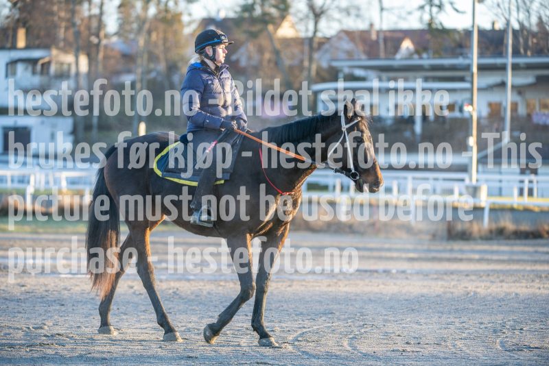 20251220-113752-DSC_3317