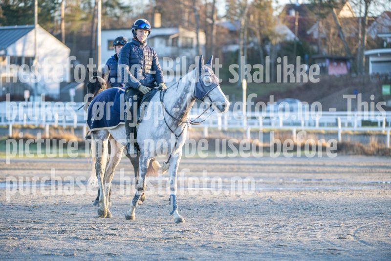 20251220-113746-DSC_3299