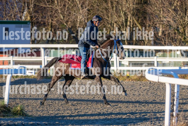 20251220-114506-DSC_3538