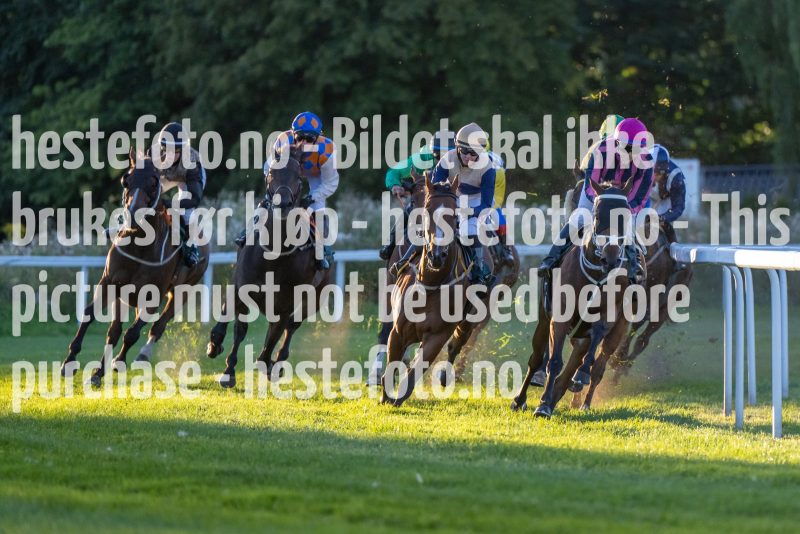 20220901-191409-DSC_2612