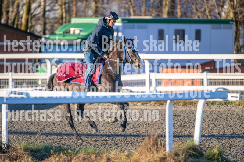 20251220-114505-DSC_3531