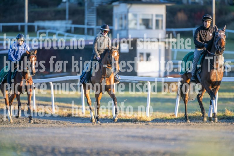 20251220-114535-DSC_3591