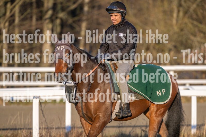 20251220-114627-DSC_3648