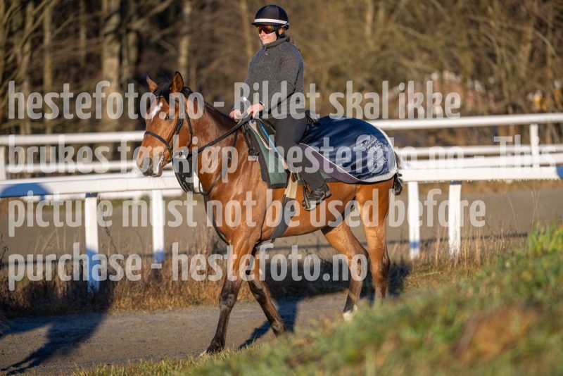 20251220-114629-DSC_3661