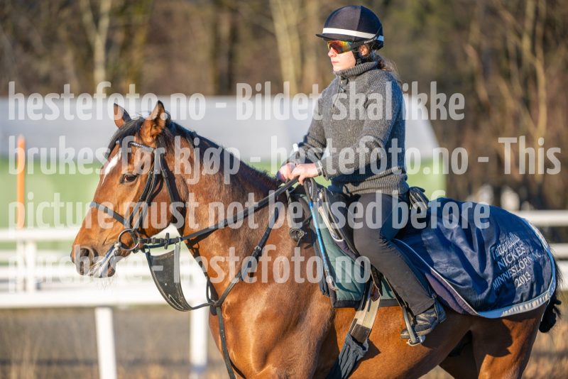 20251220-114640-DSC_3698