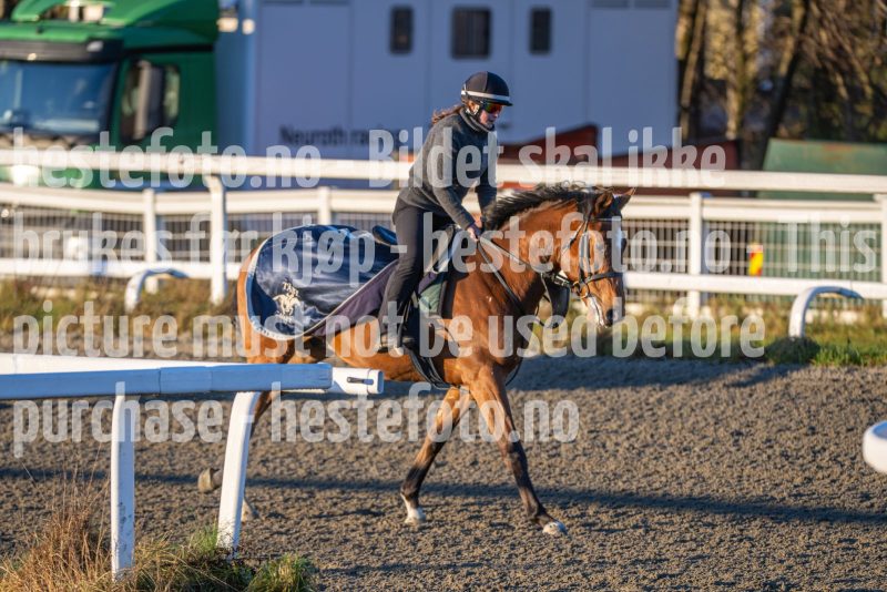 20251220-115124-DSC_3840