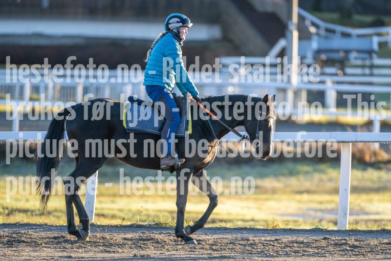 20251220-123430-DSC_3994