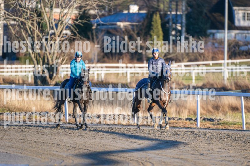 20251220-123812-DSC_4122