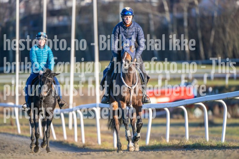 20251220-123948-DSC_4231