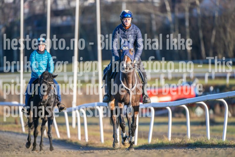 20251220-123948-DSC_4229