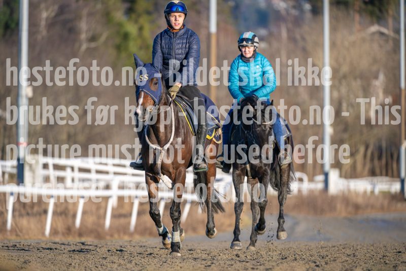 20251220-124310-DSC_4297