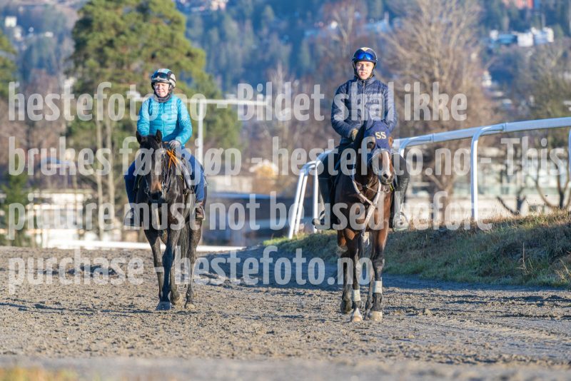 20251220-124821-DSC_4472