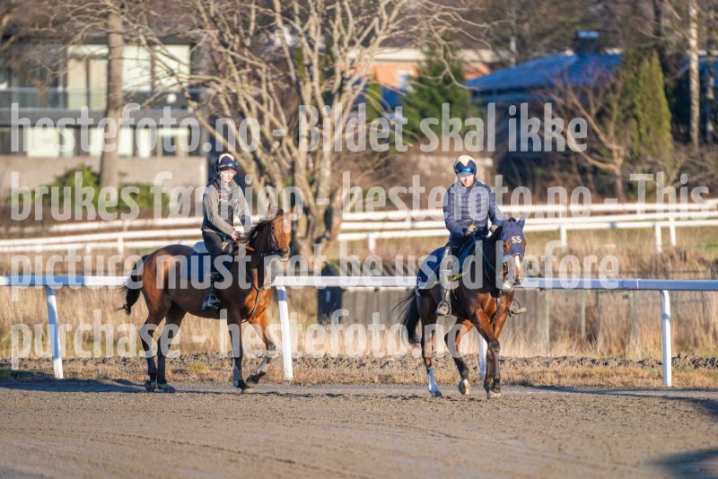 20251220-140521-DSC_4560