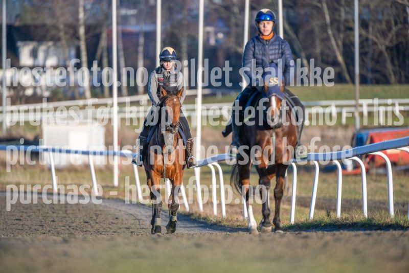 20251220-140653-DSC_4657