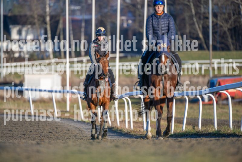 20251220-140654-DSC_4660