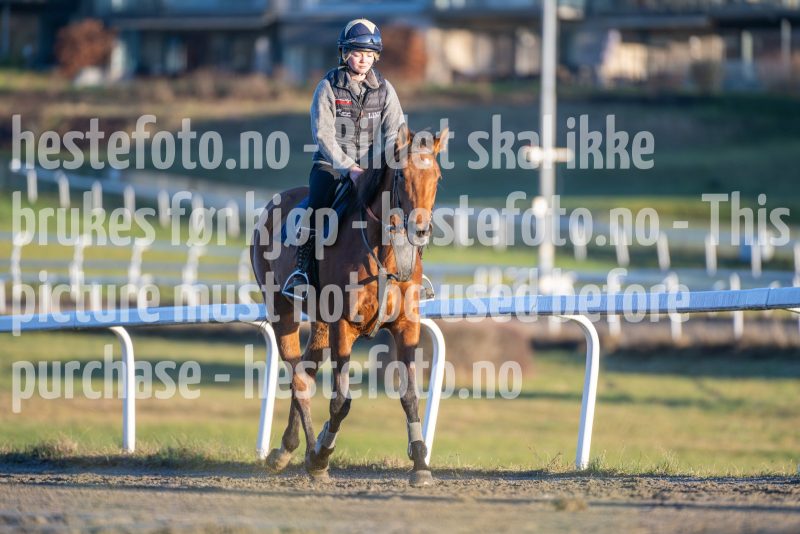 20251220-140816-DSC_4715