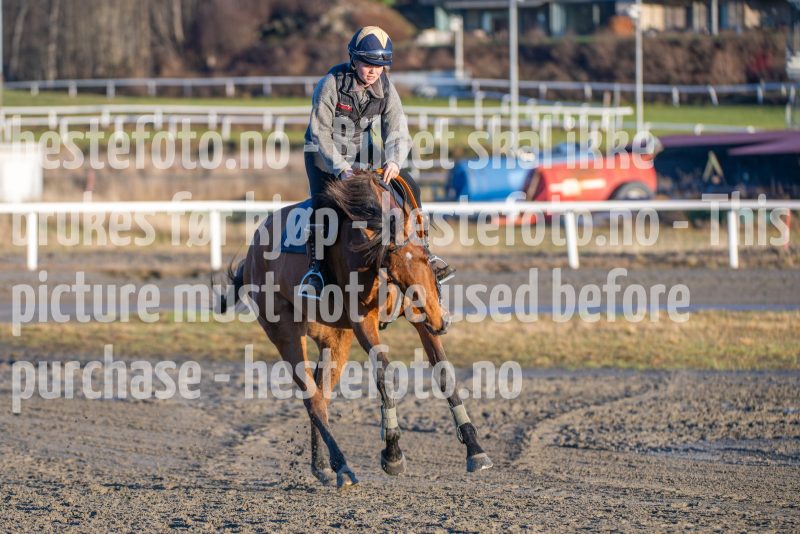 20251220-141141-DSC_4962