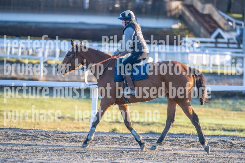 20251220-141303-DSC_5165