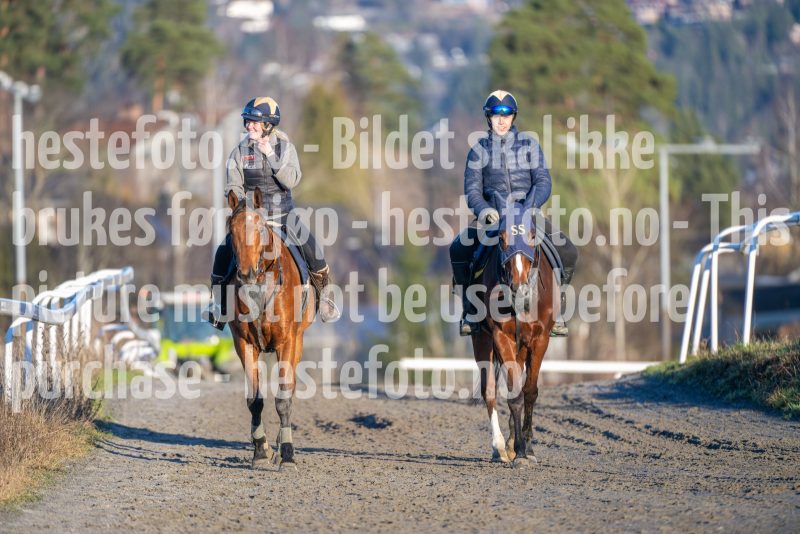 20251220-141758-DSC_5205