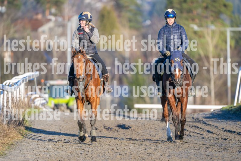 20251220-141758-DSC_5207