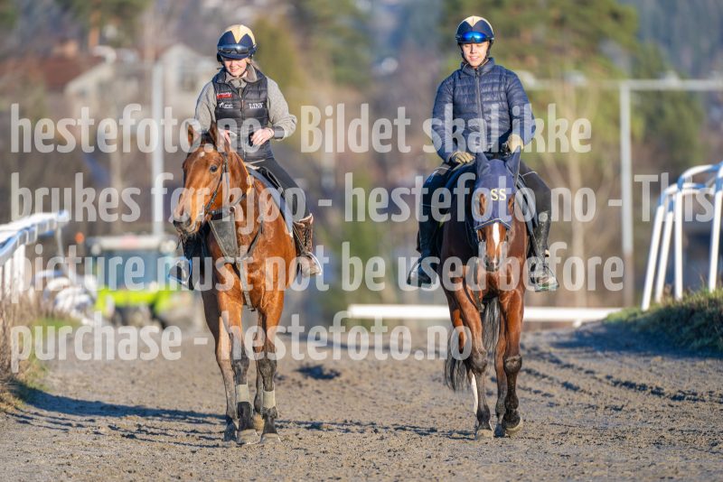 20251220-141801-DSC_5222