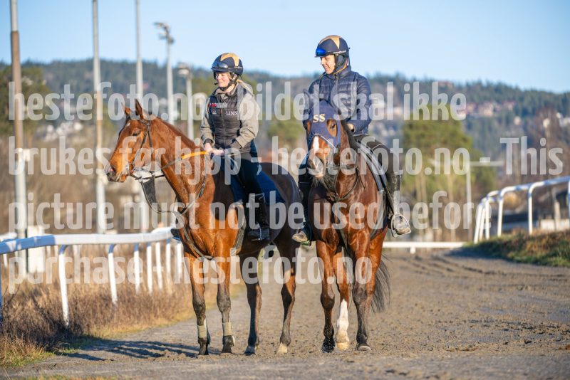 20251220-141819-DSC_5299