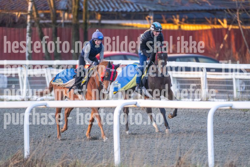 20251220-104718-DSC_2078