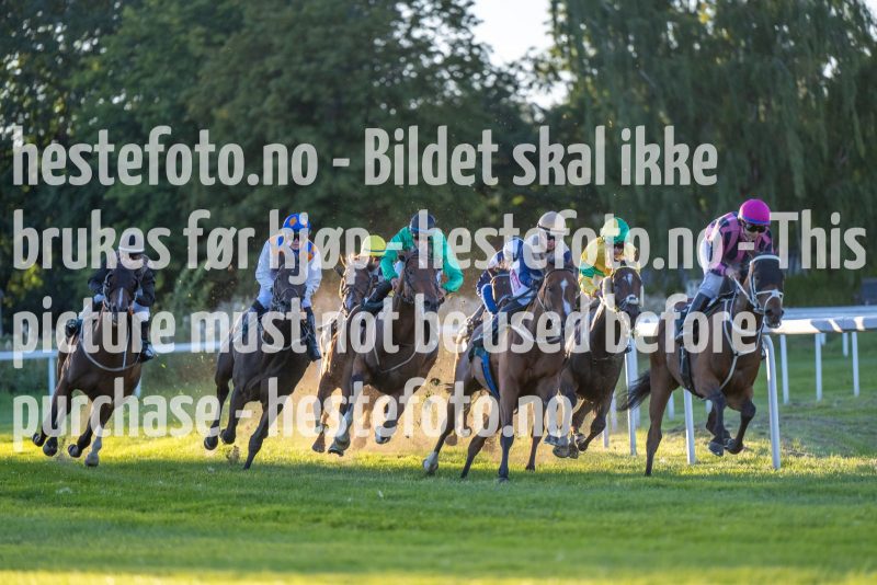 20220901-191410-DSC_2627