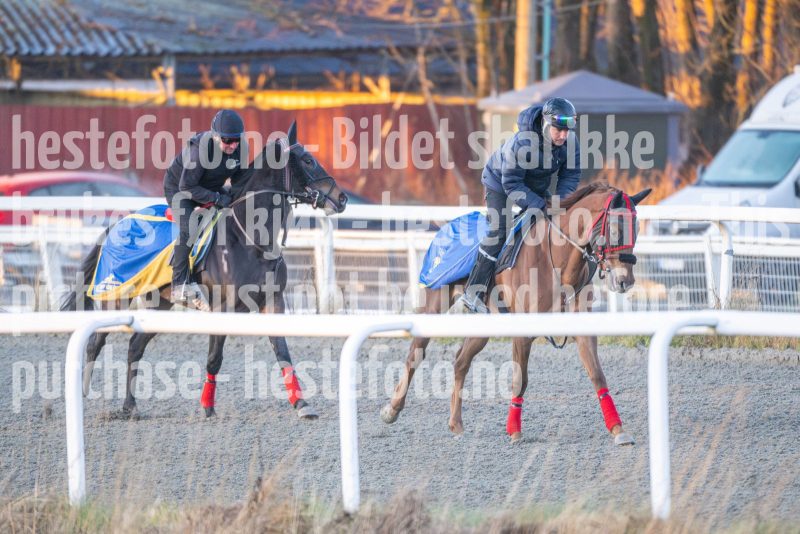 20251220-104753-DSC_2195