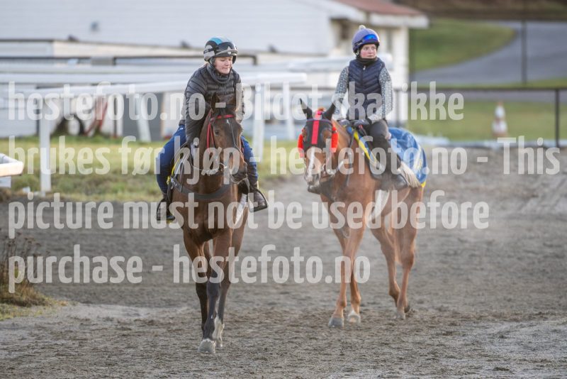 20251220-104954-DSC_2283