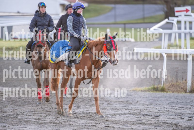 20251220-105004-DSC_2308