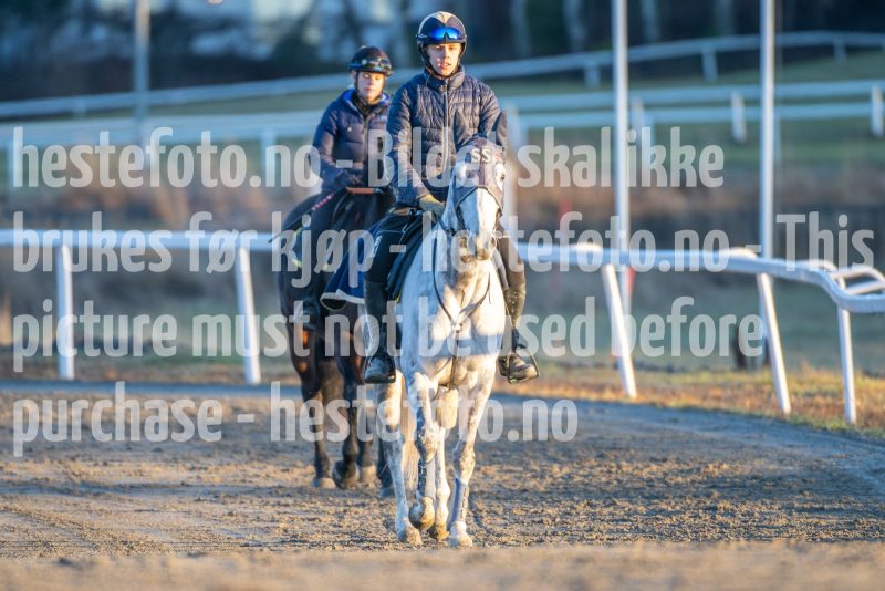 20251220-111649-DSC_2417